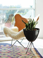 Butterfly Chair Goat leather